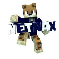 Netnax