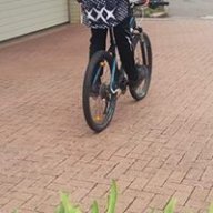 Timhd_1